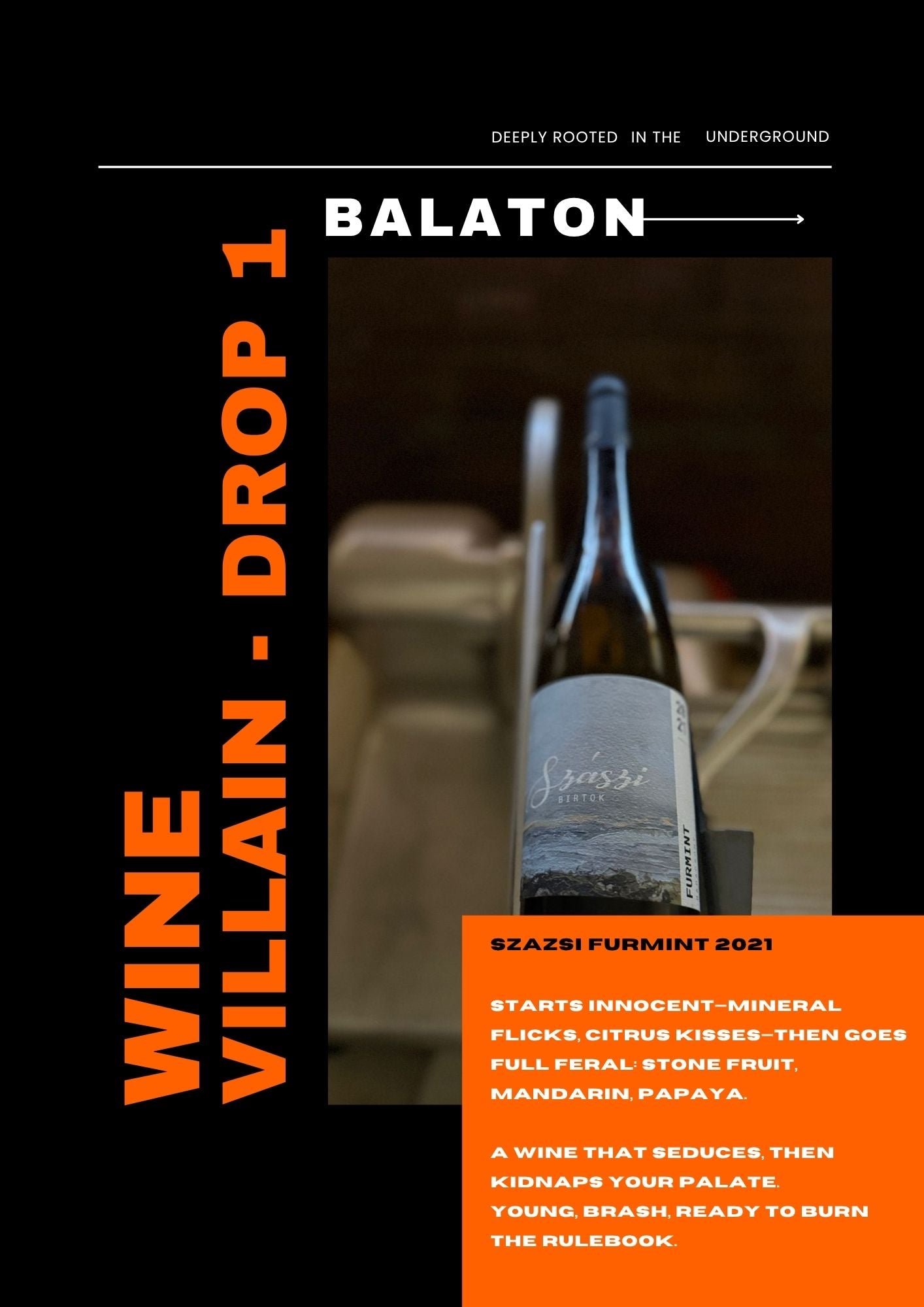 Drop #1 - Bangers from the Balaton